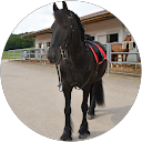 Profilbild von „Lena Frank“